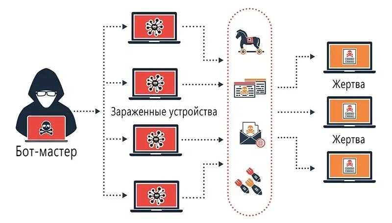 Механизмы обнаружения и предотвращения DDoS-атак