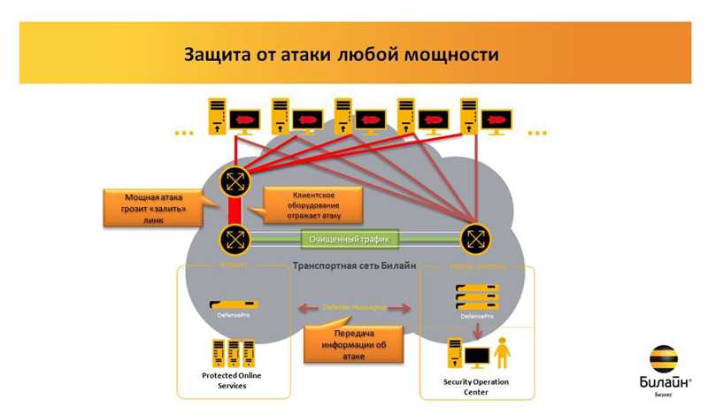 Методы защиты от DDoS-атак в 2024 году - обзор проверенных сервисов